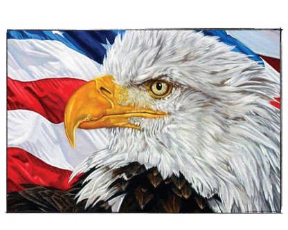American Eagle - DIY Paint by Numbers