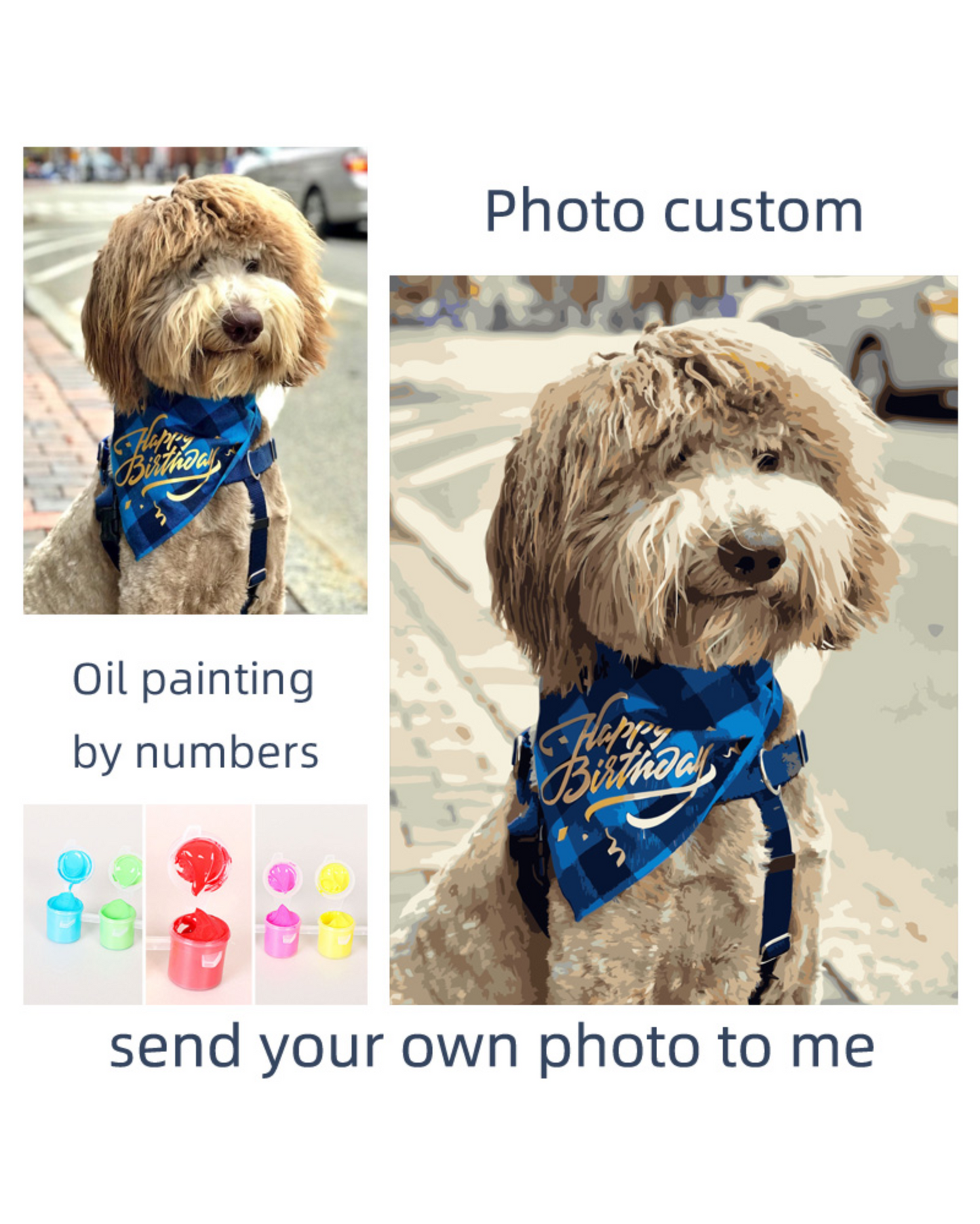 Custom Paint by Numbers